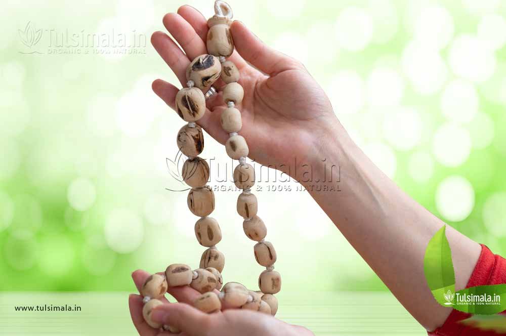 Amazon.com: IndianStore4All IS4A Tulsi Neck Mala + Rudraksha Beads Gold Cap  (Necklaces) 2 mm Approx Beads Ram Mala