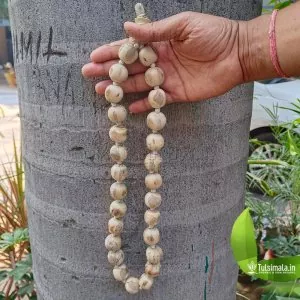 7Mm Tulsi Japa Mala 108 Beads With Gomukhi Japa Bag ~ Hindu Prayer Beads  Tibetan Buddhist Rosary Tassel Mala NECKLACE - Tulsi Wood BASIL Jap Holy